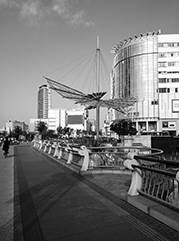 新罗公司注册